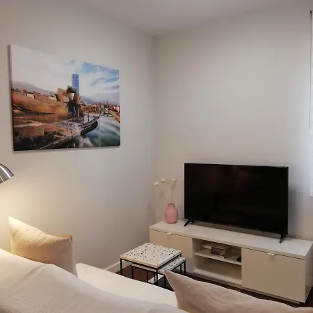 Apartman Kaixo-san Mames-bilbao Intermodal