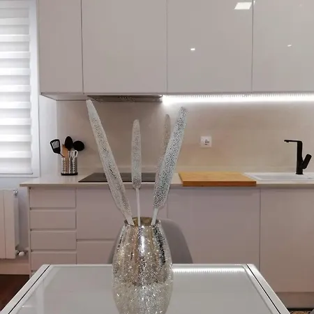 Apartman Kaixo-san Mames-bilbao Intermodal
